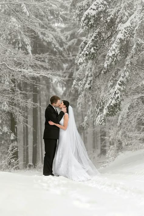 Winter Snow Wedding Dress, Winter Bridal Party, Snow Wedding Ideas, Winter Wedding Pictures, Winter Wedding Pictures Outdoor, Pre Wedding In Snow, Snow Wedding Pictures, Winter Wedding Photography Outdoor, Snow Bride Photo Shoot