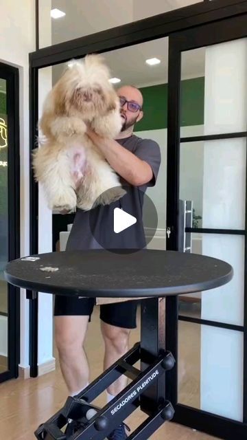 Shih Tzu on Instagram: "Gostaram do novo corte de cabelo dele ?  🎥 Source by: TT/IG @oborjaa  ( *Credit goes to the respective owner. DM for perfect Credit or remove it* )  ____________  ✔️ Tag your Friends and family who Love to see this❤️  🔔 Turn Post Notification On * Check our page for more cool photos 💯  👉 Get gifts by the link attached in the bio ❤️.  Thank you ! 💚  • • • • • #shihtzusociety #shihtzugarden #shihtzucommunity #shihtzu_feature #shihtzulover #shihtzufamily #shihtzuproblems #shihtzumix #shihtzulove #shihtzufilhote #shihtzubrasil #shihtzucorner #shihtzudaily #shihtzusgram_feature #shihtzus #shihtzubr #shihtzugram" Grey Shih Tzu, Black And White Schnauzer, Male Shih Tzu Hair Styles, Shiz Tzu Puppy, Grooming Shih Tzu Face, Shin Tzu Haircut, Shih Tzu Grooming Styles Teddy Bears, Shihtzu Haircut Short, Short Shitzu Haircut