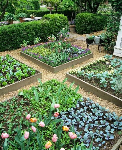 HGTV on Instagram: "It's never too early to start planning your garden. 🌱🥕🍅⁠ Raised garden beds can be as stylish as they are functional, so browse these varieties and plan your garden today. ⁠ ⁠ Head to the #linkinbio and click on this photo for even more raised garden bed ideas." Flower Bed Design Layout, Shade Vegetable Garden, Flower Bed Layout, Large Flower Bed, Cucumber Trellis Diy, Cheap Raised Garden Beds, Raised Garden Bed Ideas, Garden Bed Ideas, Vegetable Beds Raised