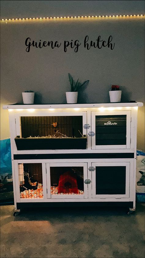 Small Rabbit Cage Ideas, Guinea Pig Cage Ideas Outdoor, Diy Guinea Pig Cage Furniture, Guinea Pig Cage Ideas Indoor, Diy Rabbit Hutch Indoor, Bunny Hutch Indoor, Indoor Guinea Pig Cage Ideas, Rabbit Hutch Ideas, Indoor Hutch