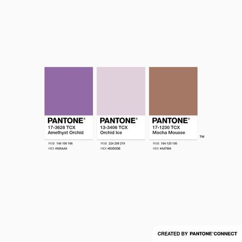 Mocha Mousse Colour, Mocha Mousse Palette, Mocha Mousse Pantone 2025, Mocha Mousse Color Palette, Mocha Mousse Color, Mocha Mousse Pantone, 2025 Pantone, Ice Mocha, Earth Tone Color Palette