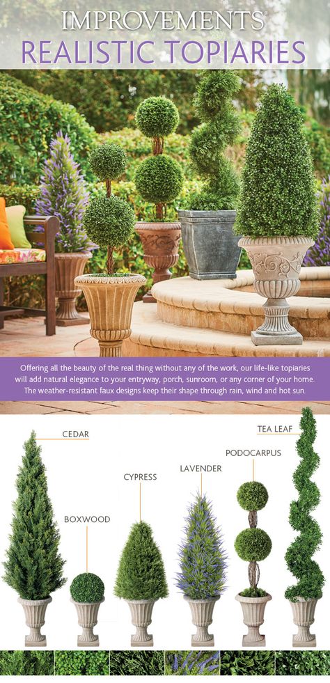 Topiary In Pots, Front Door Topiaries, Topiary Planter Ideas, Potted Topiary Front Porches, Topiary Trees Landscaping, Topiaries Front Porch, Topiaries Front Door, Topiary Trees Front Door, Front Door Topiary Ideas