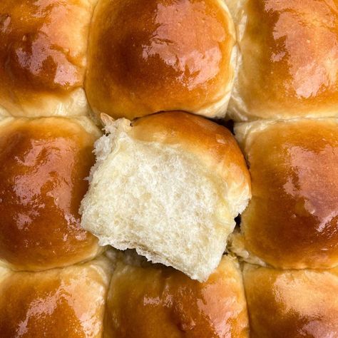 Tangzhong Dinner Rolls - Salt. Butter. Smoke. Tangzhong Dinner Rolls, Roast Dinner Recipes, Cheese Cauliflower, Roasted Carrots And Parsnips, Fluffy Dinner Rolls, Bread Soft, Scotch Eggs, Homemade Dinner Rolls, Cauliflower Cheese