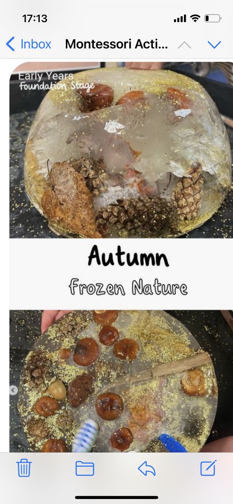 Autumn Planning Ideas Eyfs, Autumn Tuff Trays For Toddlers, Eyfs Pumpkin Activities, Montessori Classroom Activities, Autumn Water Tray Ideas, Natural Tuff Tray Ideas, Forest Tuff Tray, Autumn Early Years, Outdoor Autumn Activities Eyfs