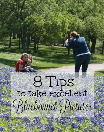 Tips-to-take-bluebonnet-pictures Kids Bluebonnet Pictures, Texas Bluebonnets Photography, Bluebonnet Family Photos What To Wear, Bluebonnet Baby Pictures, Bluebonnet Photoshoot Kids, Blue Bonnet Family Photos, Baby Bluebonnet Pictures, Bluebonnet Senior Pictures, Bluebonnet Photoshoot Family Pics