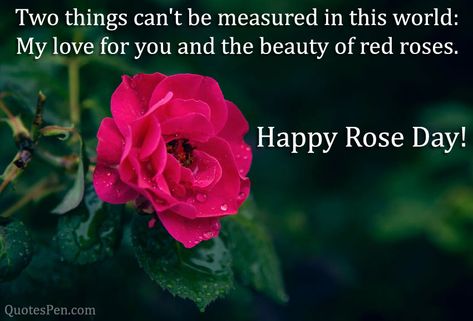 50+ Happy Rose Day Quotes Images, Wishes, Messages for Lovers Happy Rose Day Quotes, Rose Day Quotes, Bunch Of Red Roses, Happy Rose Day, Rose Day, Propose Day, Nothing Without You, Pink Day, Single Rose