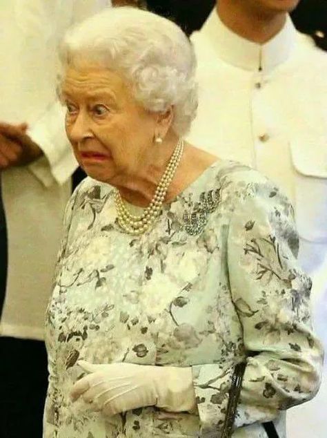 Royal Family Funny, Uk Royal Family, Lady Elizabeth, Rainha Elizabeth Ii, Not Amused, Who Wore It Better, Elisabeth Ii, Fake Smile, Queen Pictures