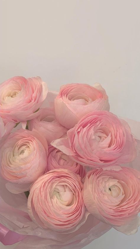 Ranunculus Flowers Bouquet, Ranunculus Wallpaper, Ranunculus Garden, Ranunculus Flowers, Boquette Flowers, Nothing But Flowers, Flower Therapy, Floral Poster, Beautiful Bouquet Of Flowers