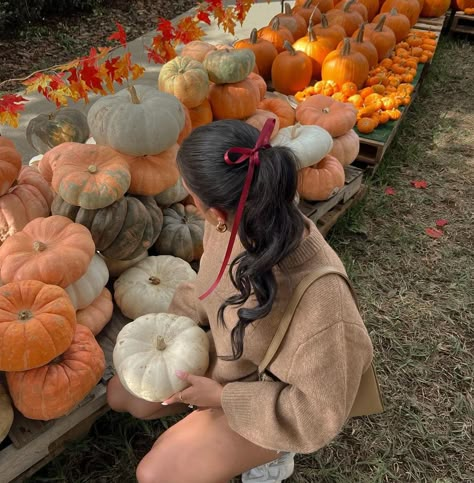 Pumpkin Patch Instagram, Fall Aesthetic Gilmore, Autumn Aesthetic Outfit, Fall Checklist, Tiny Pumpkins, Halloween Couple Costume, Fall Core, Gilmore Girls Fall, Perfect Fall Day