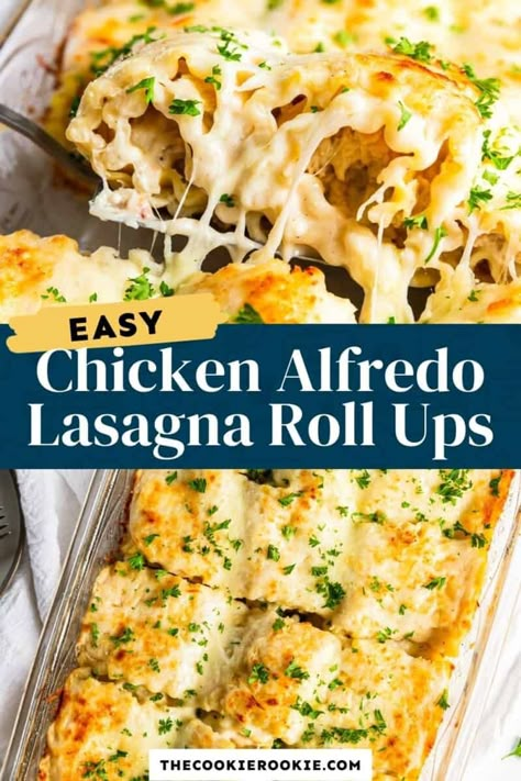 Marry Me Chicken Pasta Rolls, Chicken Lasagna Roll Ups Easy, Chicken Bacon Ranch Lasagna, Chicken Alfredo Lasagna Rolls, Chicken Alfredo Lasagna Roll Ups, Alfredo Lasagna Rolls, Alfredo Lasagna Roll Ups, Chicken Alfredo Lasagna Recipe, Lasagna Roll Ups Recipe