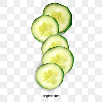 cucumber,cucumber slices,food,slices,cucumber clipart,vegetables Cucumber Clipart, Vector Food Illustration, Breakfast Clipart, Cucumber Vegetable, Counting Backwards, Sliced Cucumber, Japanese Cucumber, Cucumber Slices, Pink China