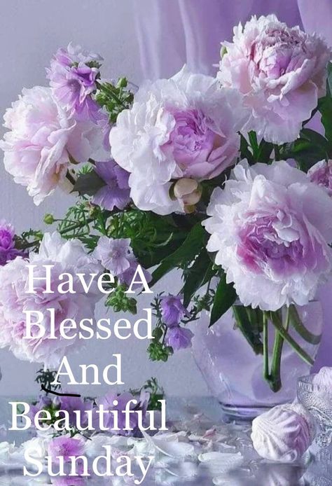 Morning Sunday Images, Happy Sunday Pictures, Blessed Sunday Morning, Good Morning Rose Images, Happy Sunday Images, Good Morning Sunday, Good Morning Sunday Images, Happy Sunday Morning, Sunday Morning Quotes