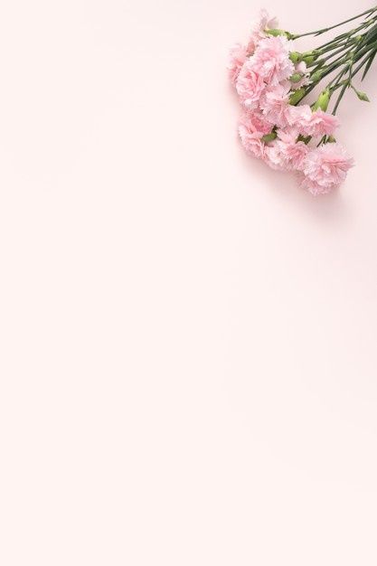 Mother's Day Asthetic Picture, Mother's Day Theme Wallpaper, Aesthetic Mother's Day Background, Mother S Day Wallpaper, Mothers Day Wallpaper Backgrounds Mom, Mother's Day Background Wallpapers, Mother’s Day Frame, Mothers Day Background Wallpapers, Mother’s Day Background