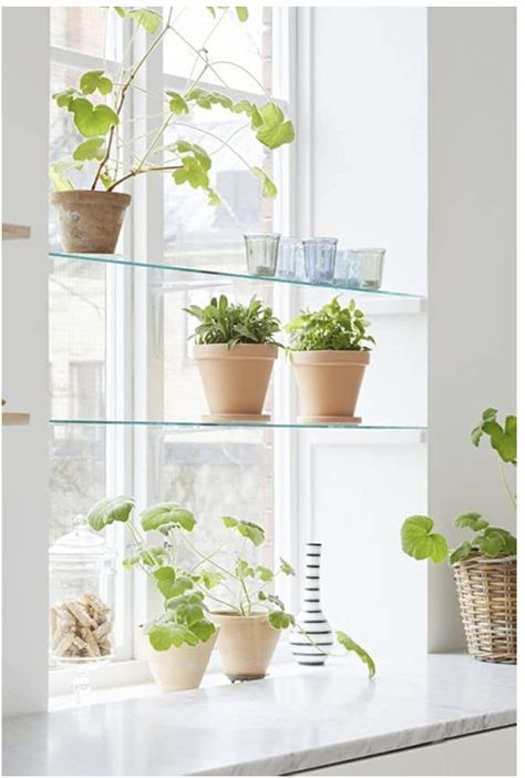 Kitchen Window Plants, Window Shelves For Plants, Kitchen Window Shelves, Homey Kitchen, Window Herb Garden, Window Plant Shelf, Glass Shelves Decor, Glass Shelves Kitchen, Plant Window