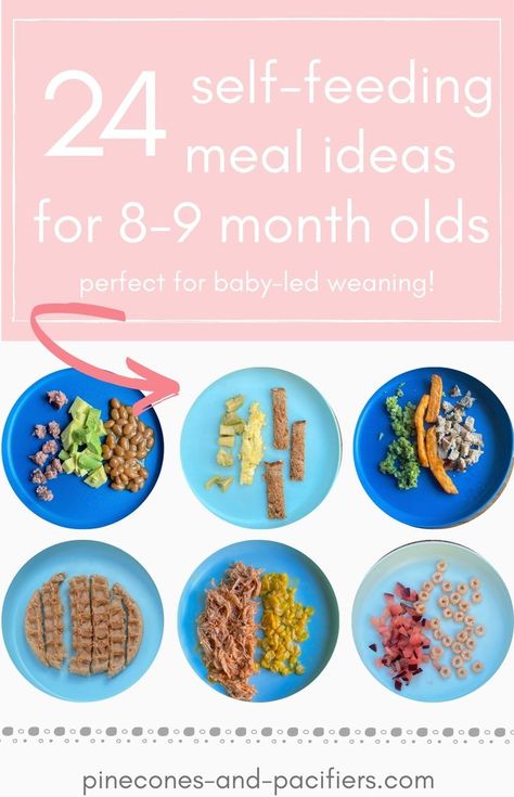 Foods To Feed An 8 Month Old, Finger Foods 9 Month Old, Blw Ideas 9 Months, What To Feed 8 Month Old, Good Ideas For 8 Month Old, 8 Months Food Ideas, 9 Month Old Daycare Food, Meal For 8 Month Old, Table Food For 10 Month Old