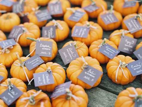 Mini pumpkins held table assignments at this wedding—they could later be taken away as favors. Diy Pumpkin Carving, Fall Wedding Tables, Fall Wedding Diy, Pumpkin Wedding, Wedding Favor Ideas, Wedding Favors Fall, Fall Wedding Cakes, Rustic Fall Wedding, Fall Staples