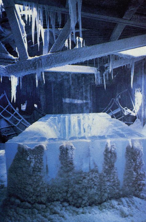 The THING The Thing 1982 Aesthetic, The Thing Aesthetic 1982, The Thing Aesthetic, Arctic Horror, Winter Horror, The Thing Movie, John Carpenter's The Thing, Horror Wallpapers, The Thing 1982