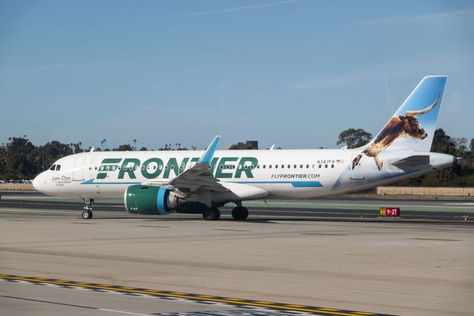 Frontier Airlines Announces New Direct Routes Between These Southern Cities Frontier Airlines, Breakfast Party Foods, Easy Dinner Casseroles, Culture Quotes, Orlando International Airport, Southern Cities, Plant Problems, Holiday Planning, Travel South