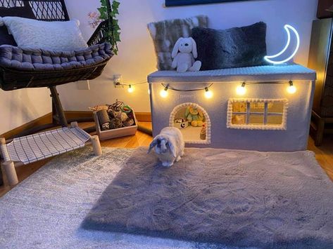 Rabbit Cage Decoration Ideas, Rabbit Set Up Indoor Diy, Rabbit Cage Decor, Rabbit Cages Ideas, Diy Bunny House Indoor Rabbit, Bunny X Pen, Small Bunny Cages In Bedroom, Bunny Habitats Indoor, Cute Bunny Enclosure