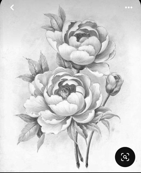 Realistic Peony Tattoo Black And White, Peony Pencil Drawing, Drawing Peonies, Flower Sketch Pencil, Fleurs Art Nouveau, Cool Animal Tattoos, Peony Illustration, Peony Drawing, Dragon Tattoo Ideas