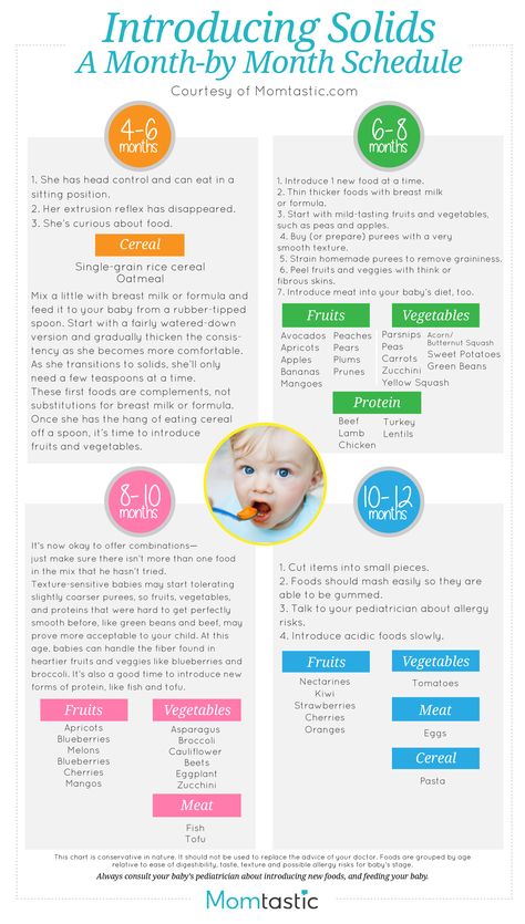 Baby Solid Food Chart, Baby Solid Food, Baby Food Chart, Baby Fruit, Baby Information, Baby First Foods, Introducing Solids, Baby Weaning, Homemade Baby Foods