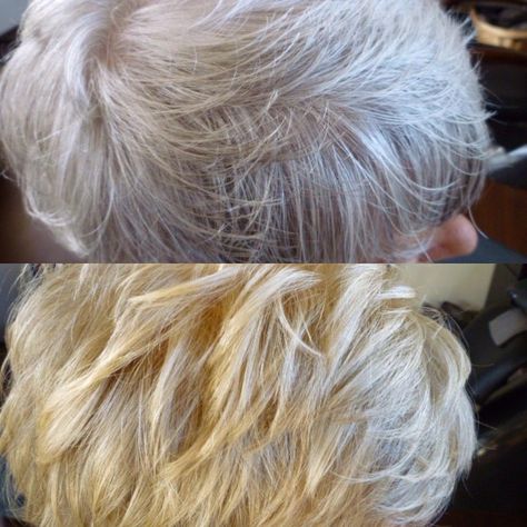 Can you color your hair blonde with henna? No. But you can with a plant called cassia. One of the best cassia result I had. #cassia… Cassia Obovata, Blonde Henna, Dyed White Hair, Hair Shine, Color Your Hair, White Hair, Dyed Hair, Blonde Hair, Henna