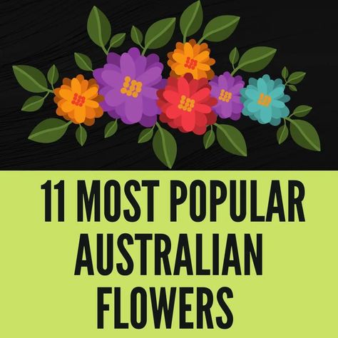 What are the most popular native Australian flowers? We've got 11 of them right here, and they make for amazing additions to your home or garden. Check it out.. Lantana Flower, Native Australian Flowers, Lantana Plant, Flowers Australia, Flower Calendar, Small Yellow Flowers, Australian Native Garden, Australian Wildflowers, Australian Flowers