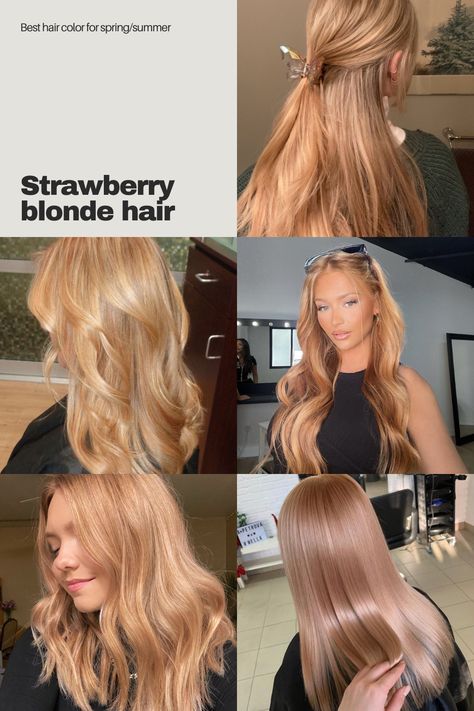 Strawberry blonde hair
#LongHair #Blonde #HairAesthetic #2024Hair Strawberry Blonde All Over Color, Caramel And Pink Hair, Blonde Strawberry Hair, Strawberry Beige Blonde Hair, Honey Strawberry Blonde Hair, Subtle Strawberry Blonde, Dimensional Strawberry Blonde, Natural Strawberry Blonde Hair, Natural Short Hairstyles