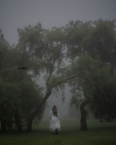 Foggy Painting, Nature Photoshoot, Senior Photoshoot, Season Of The Witch, Forest Fairy, Instagram Photography, Photography Inspo, Senior Photos, Victorian Era