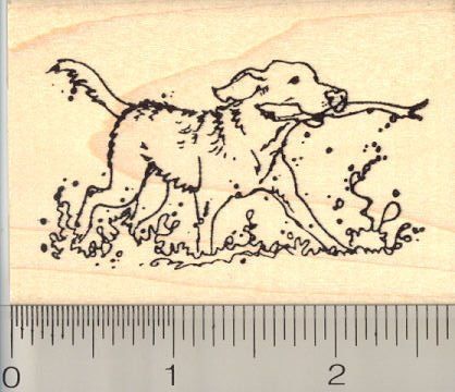 Pet Vet, Dogs Golden Retriever, Mythological Creatures, Dog Drawing, Pet Loss, Book Plates, Exotic Pets, Art Journal Inspiration, Rubber Stamps