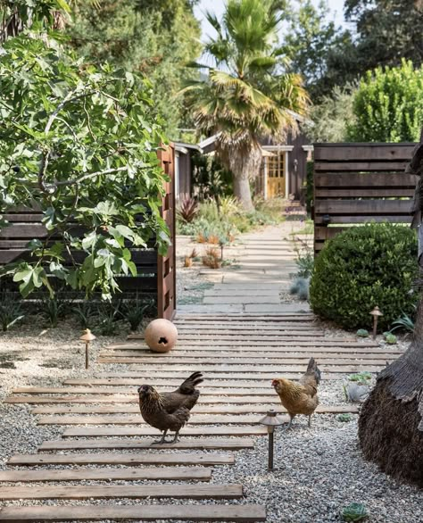 Modern Cottage Garden, Homestead Design, Garden Homestead, Stone Landscaping, Small Courtyard Gardens, Garden Paving, Urban Farm, Cottage Garden Design, Edible Landscaping