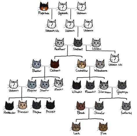 Warrior Cats Graystripe Family Tree, Warrior Cats Family Tree, Family Tree Wallpaper, Dawn Of The Clans, Warrior Cats Books, Warrior Cats Fan Art, Love Warriors, Warrior Cat Drawings, Warrior Cats Art