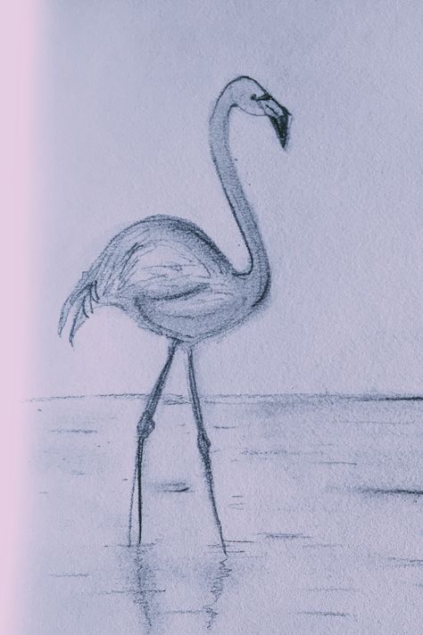 Flamingo art  Black and white Flamingo Drawing Pencil Sketches, Flamingo Sketch Drawings, Flamingo Drawing Pencil, Nursery Sketches, Easy Flamingo Drawing, Flamingo Drawing Simple, Draw Flamingo, Flamingo Drawings, Flamingo Sketch