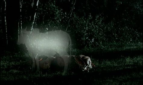 Apichatpong Weerasethakul "Tropical Malady" (2004) Tropical Malady, Apichatpong Weerasethakul, Pale Blue Dot, Beautiful Scenery Photography, Scenery Photography, Scandinavian Art, Moving Image, Film Posters, Blue Dot