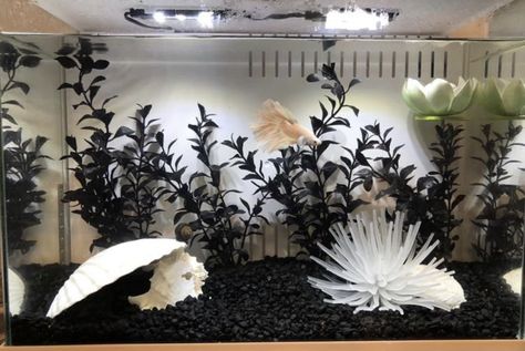 Cool Fish Tank Decorations, Glow Fish, Fish Aquarium Decorations, Fish Tank Themes, Betta Fish Types, Goldfish Tank, Fish Tank Terrarium, Cool Fish Tanks, Fish Tank Design