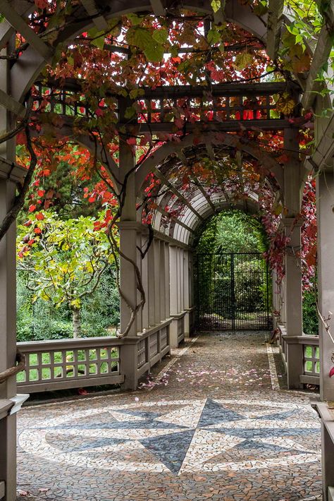 Fancy Garden Aesthetic, Baroque Garden Design, Award Winning Gardens, Boarding School Garden, Versailles Garden Aesthetic, Italian Garden Aesthetic, Hamilton Gardens New Zealand, Big Garden Aesthetic, Garden Of Time