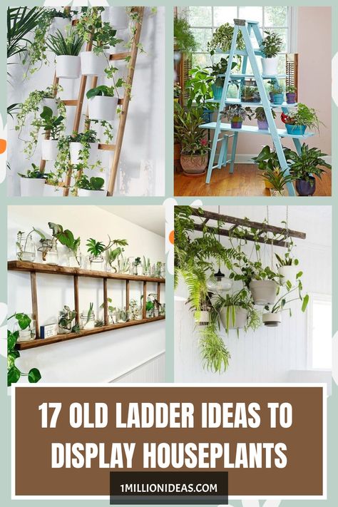 17 Old Ladder Ideas To Display Houseplants Plant Ladders Indoor, Ladder To Hang Plants, Ladder Plant Holder, Plant Ladder Hanging, Ladder Hanging Plants, Plants On Ladder, Ladder For Plants, Ladder Plant Hanger, Macrame Hanging Plants