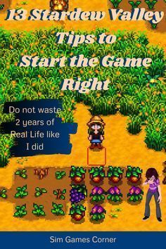 Stardew Year 1, Stardew Valley Gameplay, How To Play Stardew Valley, Stardew Valley First Year, What To Do In Stardew Valley, Stardew Valley Beginner Guide, Egg Festival Stardew Valley, Stardew Tips And Tricks, Stardew Valley Nintendo Switch