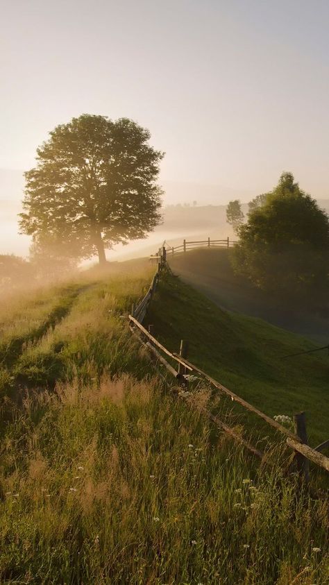 English Countryside Aesthetic, Countryside Wallpaper, Summer Iphone Wallpaper, England Aesthetic, England Countryside, Prairie House, Sunrise Landscape, Morning Fog, Carpathian Mountains