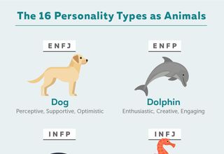 16 Personalities Funny, How To Observe People, Mbti As Animals, Animal Personality Types, Mbti Animals, Esfj Personality, Disc Personality, Infp T Personality, Enfj Personality