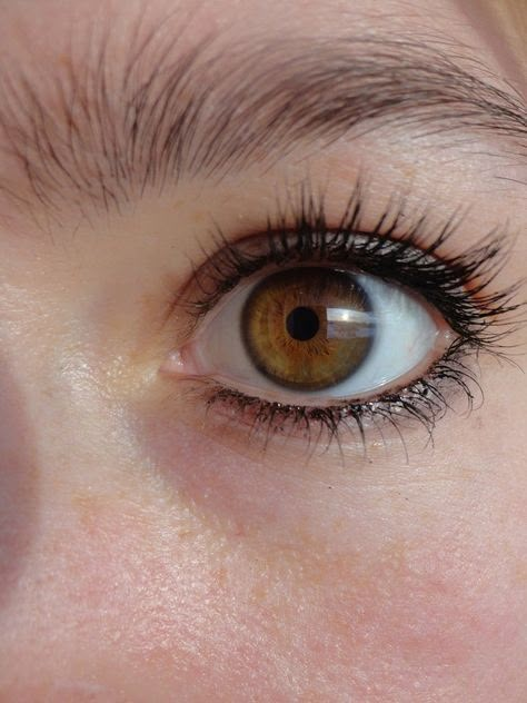 Brown Eyes With Green Rings, Light Brown Hazel Eyes, Limbal Ring Eye, Light Brown Eye Color, Light Brown Eyes Aesthetic, Brown Hazel Eyes, Brown Green Eyes, Green Brown Eyes, Limbal Ring