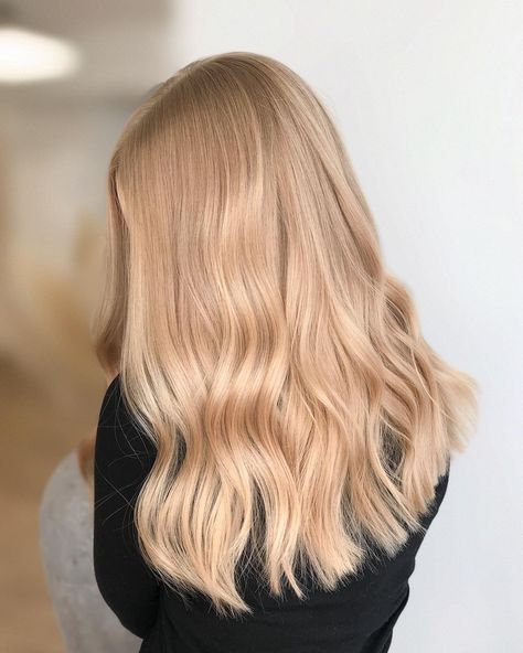 The perfect peach blonde colour created by @hairbyheidihanninen at Instagram. Result achived by mixing Maria Nila's Cool Cream, Vanilla and Peach Colour Refresh. All Over Colour Blonde, Pearl Strawberry Blonde Hair, Vanilla Hair Color Blondes, Pale Honey Blonde Hair, Blonde Hair Red Undertones, Strawberry Blonde Hair Toner, Light Peach Blonde Hair, Champaign Blonde Hair Color, Peachy Strawberry Blonde Hair