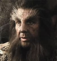 Beorn Beorn Hobbit, Hobbit Pictures, Dark Throne, The Desolation Of Smaug, Woodland Realm, Elf Man, Hole In The Ground, The Dark Lord, Desolation Of Smaug