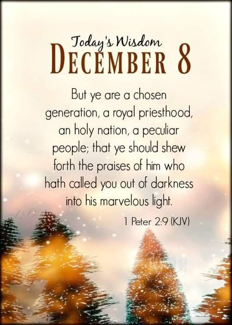 December 8 Blessings, December Verses, December Prayers, Bible Calendar, December Greetings, December Blessings, Nuwe Jaar, December Scriptures, Have A Blessed Day Inspiration