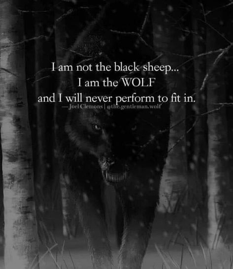 Lone Wolf Quotes, Twisted Quotes, Life Choices Quotes, Magic Quotes, Wolf Quotes, Smart Quotes, She Wolf, Anime Quotes Inspirational, Warrior Quotes