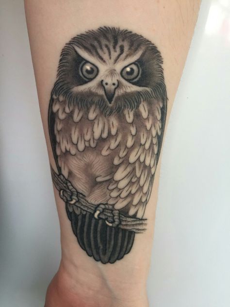 Union Tattoo, Wellington New Zealand, Divorce Lawyers, Owl Tattoo, Free Consultation, Lawyer, Wellington, Owls, Tatting