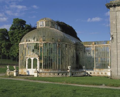 Ballyfin Demesne | Historic Luxury Hotel in Ireland | Restoration Irish Country House, Irish Country, Gold Rooms, French Chandelier, Irish Art, Beautiful Wedding Venues, Great House, Stone Work, Garden Room