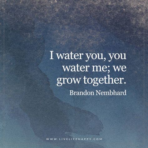 Live Life Happy: I water you, you water me; we grow together. - Brandon Nembhard Funny Love Quotes For Husband, Love Quotes For Husband, We Grow Together, Funny Love Quotes, Water Quotes, Live Life Happy, Together Quotes, Love Husband Quotes, Dear Future