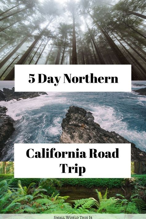 Northern California Road Trip, Northern California Travel, Humboldt Redwoods State Park, California Road Trip Itinerary, Travel Road Trip, California Roadtrip, California Road Trip, Iceland Road Trip, Travel Bucket List Usa