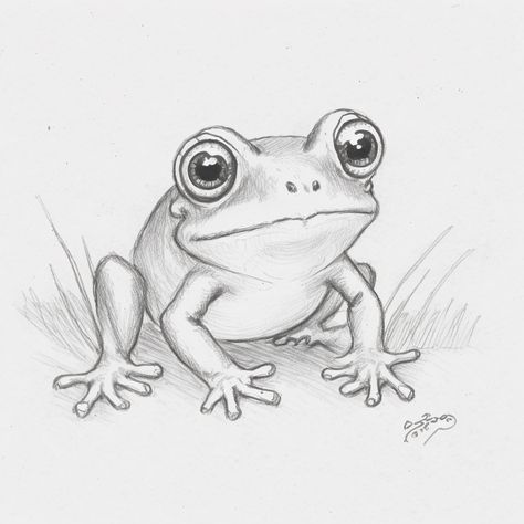 Easy Realistic Animal Drawings, Frog Tattoos Realistic, Little Frog Drawing, Frog Drawing Ideas, Cute Frog Drawing, Draw A Frog, Frog Sketch, Realistic Animal Drawings, Glory Of The Snow